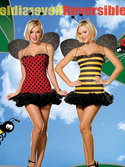Reversible Bee/Ladybug 3 PC Costume
